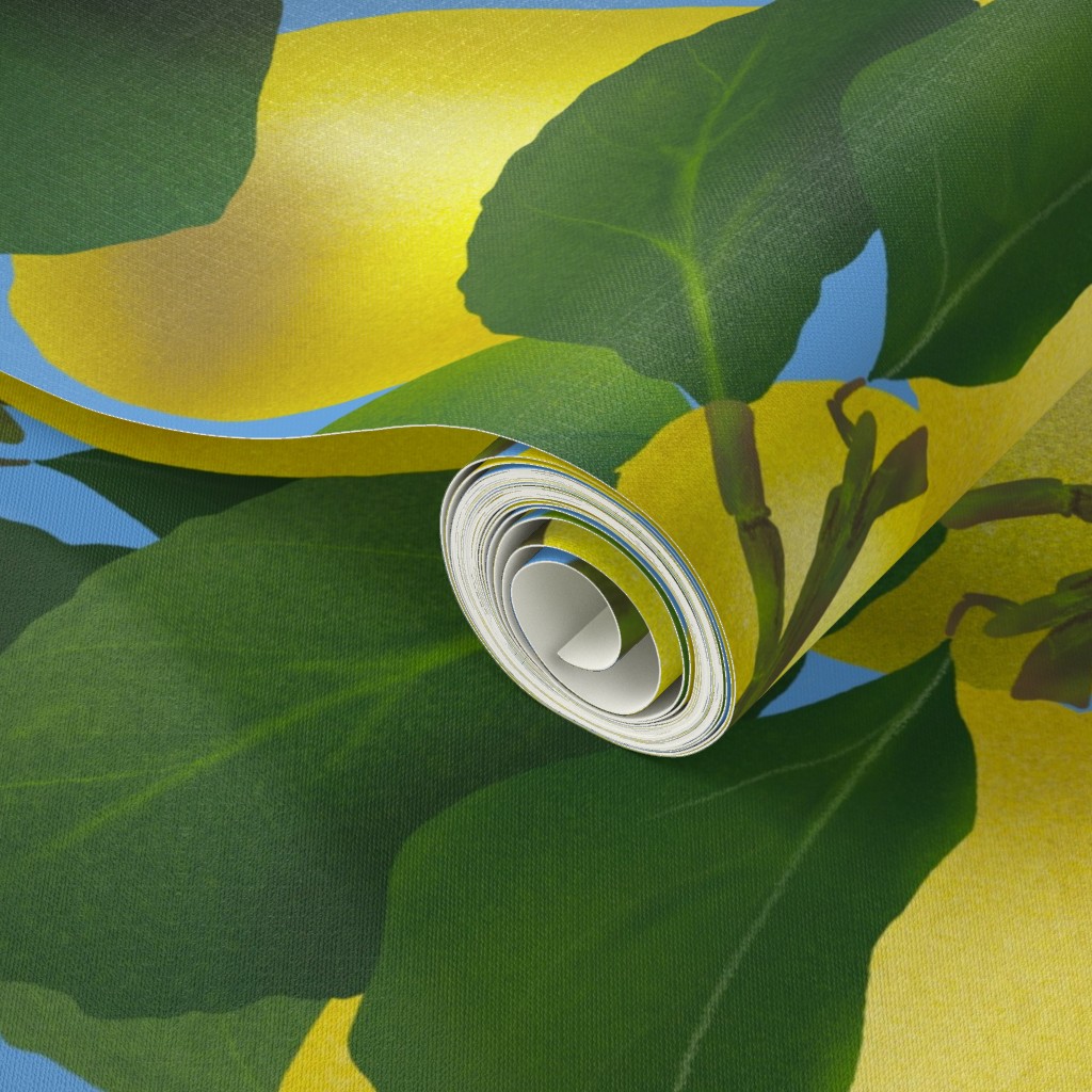 wallpaper design lemontree hello summer